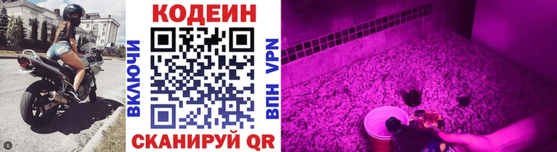 Купить где Кингисепп Codein напиток Lean (лин)