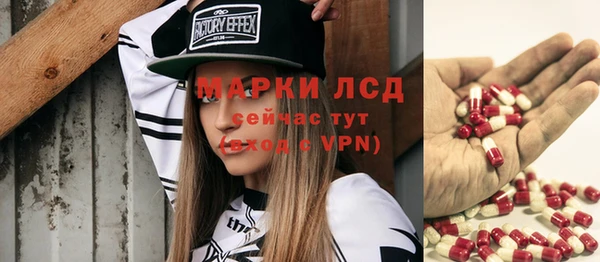 тгк Дмитровск