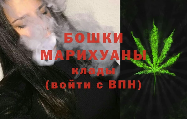 тгк Дмитровск