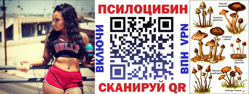Псилоцибиновые грибы Psilocybine cubensis  Купить  Кингисепп 